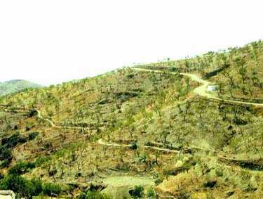 SORVILAN-01.jpg