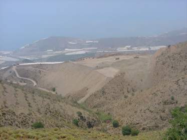 ALMENDRILLO-01.JPG