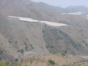 CAUTOR-O1.jpg