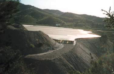 PATAURA-03.jpg