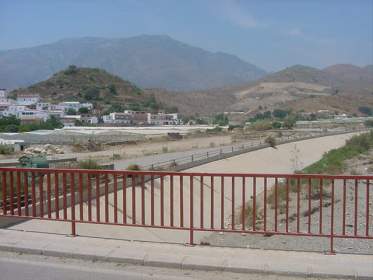 PENA-01.jpg