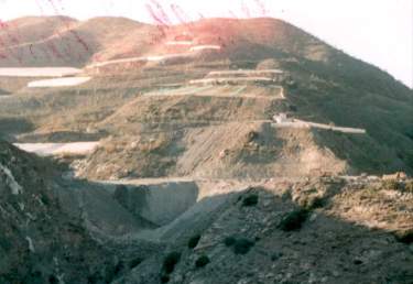 MATULA-01.jpg
