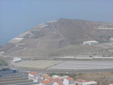 GUAPA-01.jpg