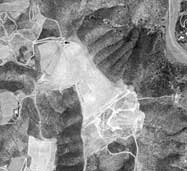 VARGAS-03.jpg (6672 bytes)