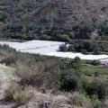 PICENA-01.jpg
