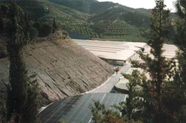 PATAURA-02.jpg