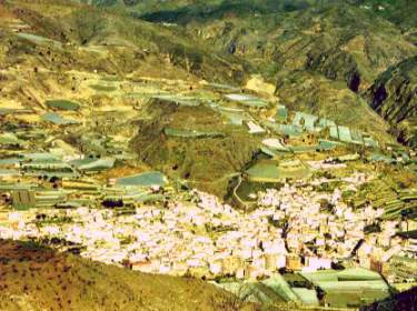 albunol-01.jpg